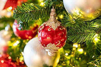 《阿凡达：潘多拉边境》预购奖励预告 12月7日正式发售